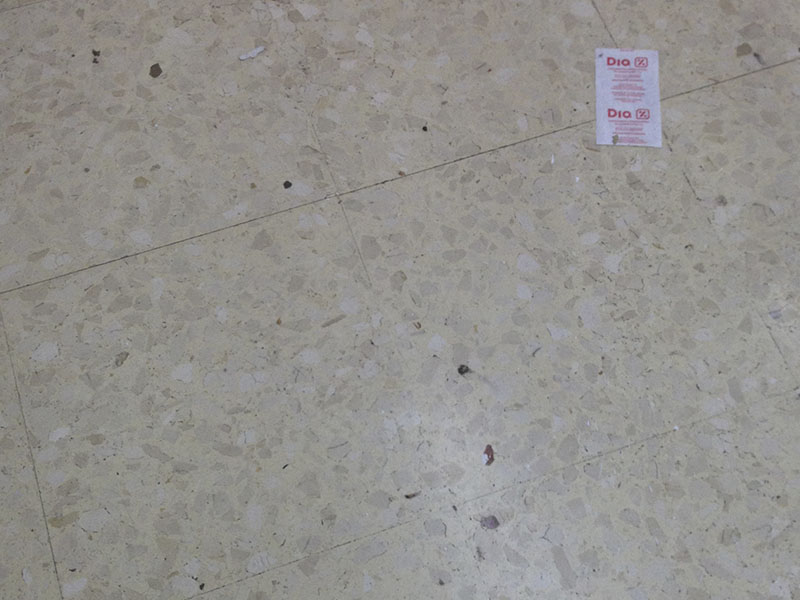 Pulido de Suelos en supermercados dia